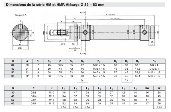 Vérin pneumatique diamètre 32mm course 800 standard LH-032-0800 Aignep, ADAJUSA