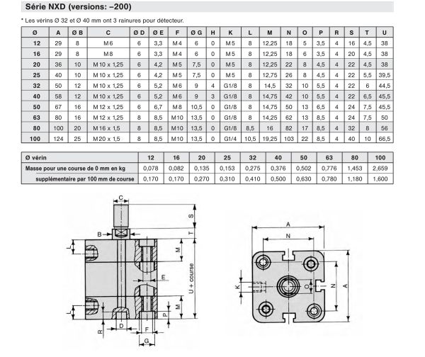Vérin Pneumatique Double Tige Delaman 16mm Alésage - Course 40mm Double Action Aluminium
