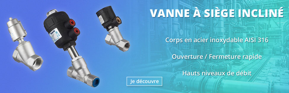 Vannes a siège incliné en inox avec commande pneumatique